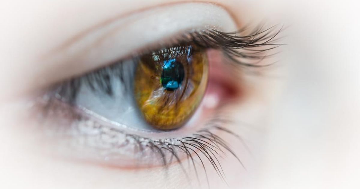 A protection for the retina comes from the Gynostemma