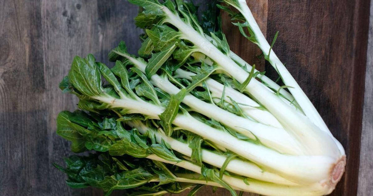 Chicory, properties, benefits and recipes