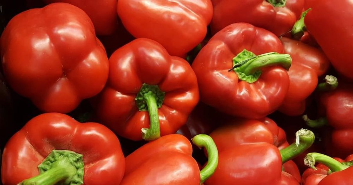 Red pepper